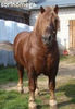 81754317_TQENKWL3