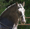 000464_tsj-hdcopy