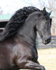 004263_maggiep8