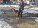 IMG_0194