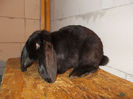 DSCN0191