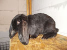 DSCN0192