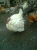 Fotogr.0179