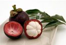 Mangosteen