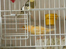DSCN5753