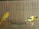 DSCN5755