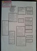 PEDIGREE-GUT.0981242-13.ORIG.CIOBANU BOGDAN