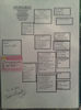 PEDIGREE-SOLZ.LISTA.0662470-13.ORIG.CIOBANU BOGDAN