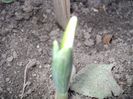 poze 2014 012