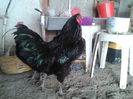 Foto%u011Fraf-0485