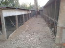 Foto%u011Fraf-0332