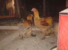 Foto%u011Fraf-0220
