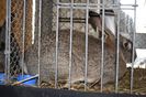 IMG_0431