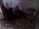 IMG_20140213_153032