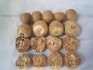 Areca-seminte(simburi)