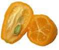 Kumquat-fruct si saminta,sectionate