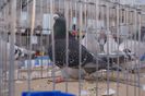 DSC00088