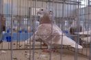 DSC00114