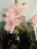 DSC03254_1