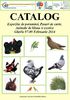 Catalog
