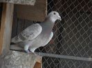 DSCN3283