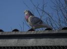 DSCN3304
