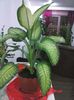 CAM00299