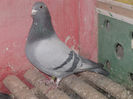 V.List.BG.25584-08