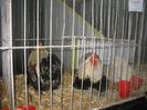 IMG_5358