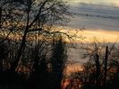 DSCN2184