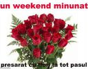 un-weekend-minunat_43d346f1c4db52