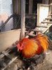 20140216_123527