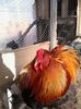 20140216_123530