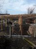 IMG_20140216_154333
