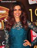 Deepika-Padukone-2013-Colors-Screen-Awards[1]