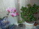 DSCN3125