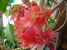 P1050639