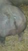 IMAG0134