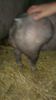 IMAG0157