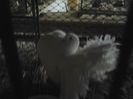 2014-02-16 12.55.39