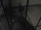 2014-02-16 12.56.26