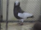 2014-02-16 12.57.11