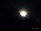 DSC00260
