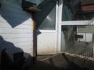 IMG_5870