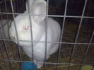 CAM01375