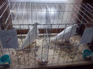 CAM01434