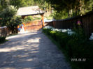 SANY0373
