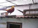 DSCN0046