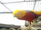 DSCN0047