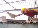 DSCN0048